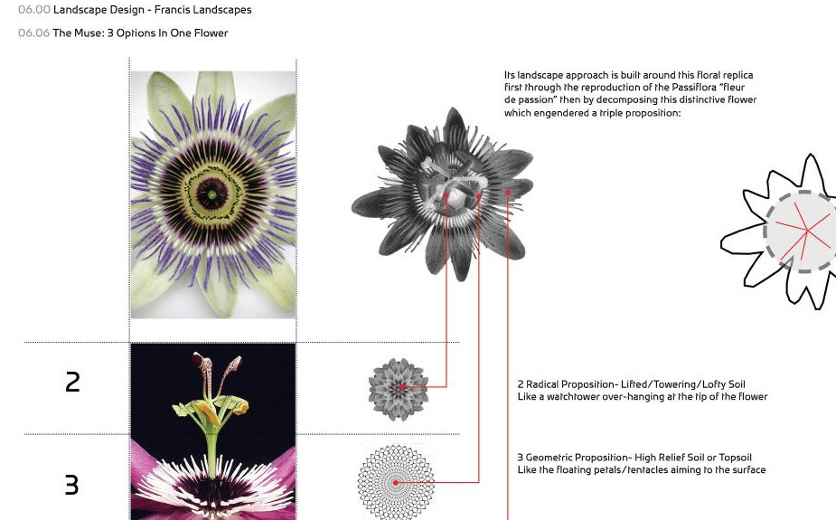 Passiflora study generating three landscape propositions