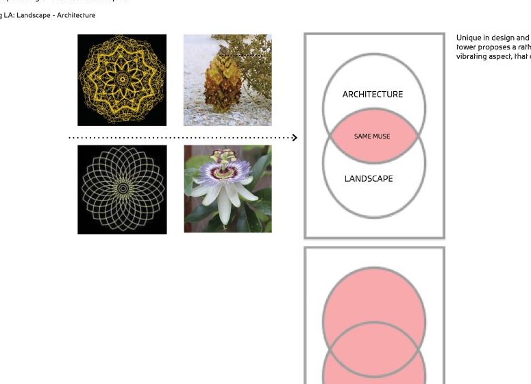 Diagram connecting Lusail architecture and landscape through one floral muse